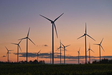 Morgenstimmung über dem Windenergiepark "Odervorland". Es soll eigentlich eine milliardenschwere Entlastung der Stromkunden werden. Jetzt aber wird die geplante Abschaffung der EEG-Umlage immer mehr zur Notbremse