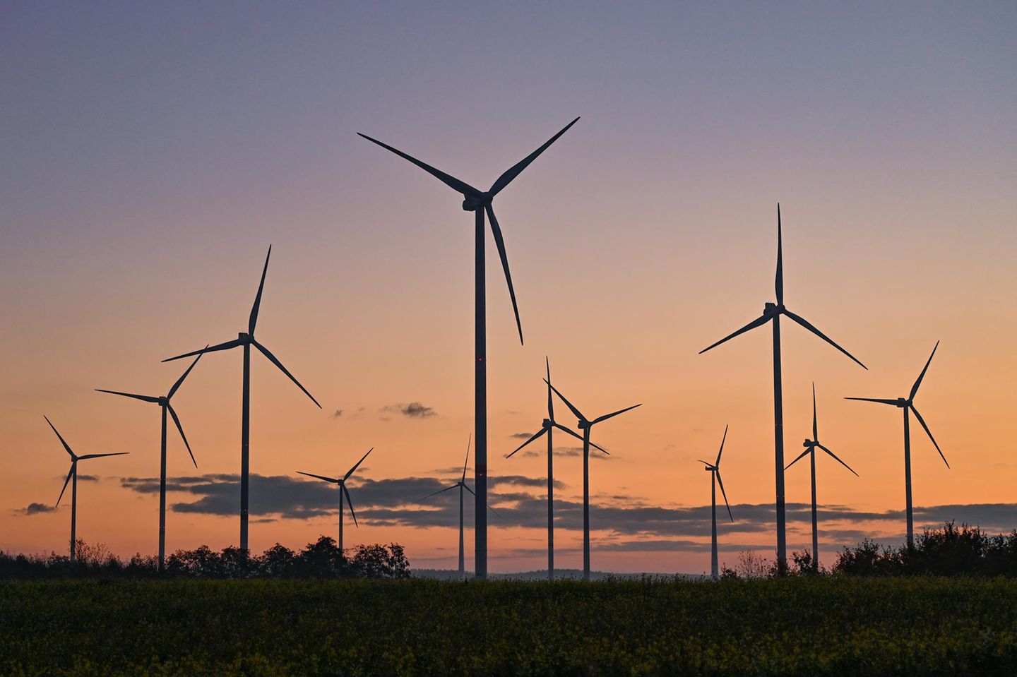 Morgenstimmung über dem Windenergiepark "Odervorland". Es soll eigentlich eine milliardenschwere Entlastung der Stromkunden werden. Jetzt aber wird die geplante Abschaffung der EEG-Umlage immer mehr zur Notbremse