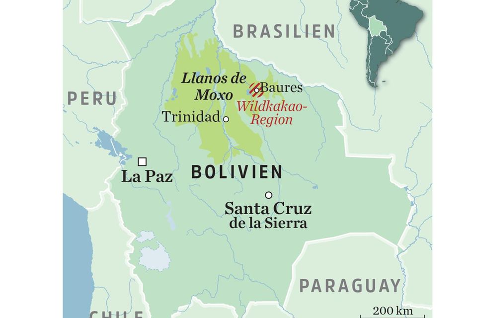 Die Wildkakao-Region rund um das Dorf Baures liegt in der Überschwemmungssavanne "Llanos de Moxo". Die einzige Straßenverbindung führt über 400km Piste nach Trinidad