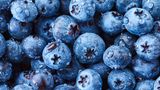Viele tiefblaue Heidelbeeren