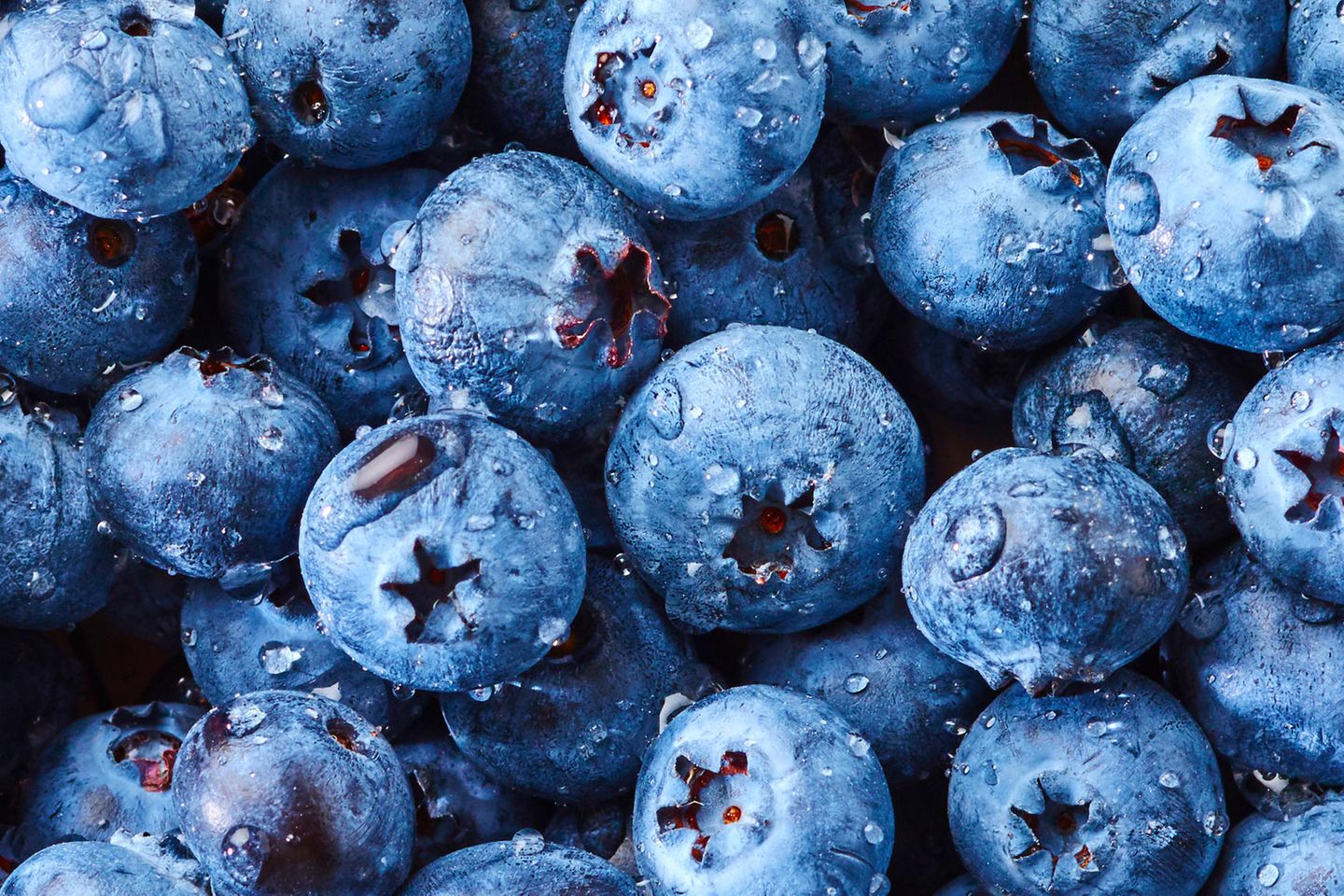 Heidelbeeren: 7,4 g Zucker und 42 kcal Viele tiefblaue Heidelbeeren