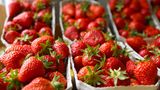 Frische Erdbeeren in Boxen an einem Verkaufsstand