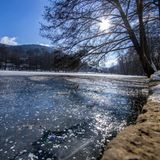 Seegarten Amorbach im Winter