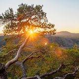 Sprinzelfelsen im Dahner Felsenland