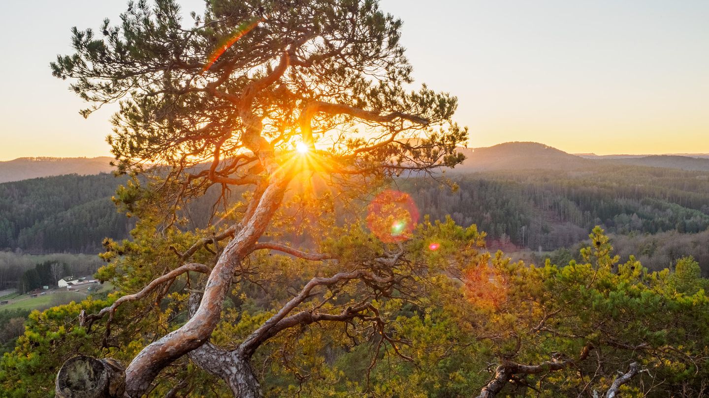 Busenberg, Rheinland-Pfalz Sprinzelfelsen im Dahner Felsenland