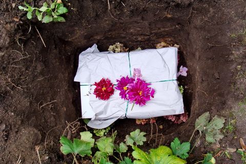 Ein geschmückter Haustier-Sarg liegt in einem tiefen Loch in der Erde