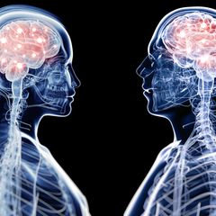 Blick ins Gehirn : Denken Frauen anders als Männer? Die verblüffenden Antworten der Wissenschaft