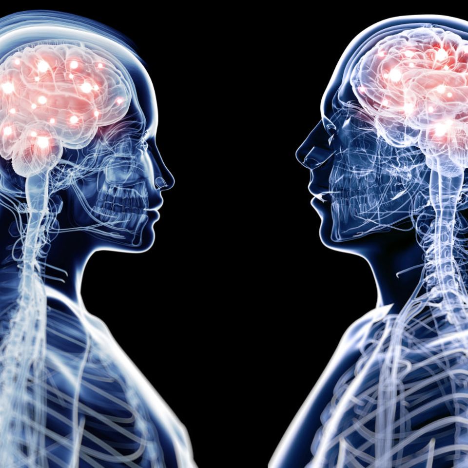 Blick ins Gehirn : Denken Frauen anders als Männer? Die verblüffenden Antworten der Wissenschaft