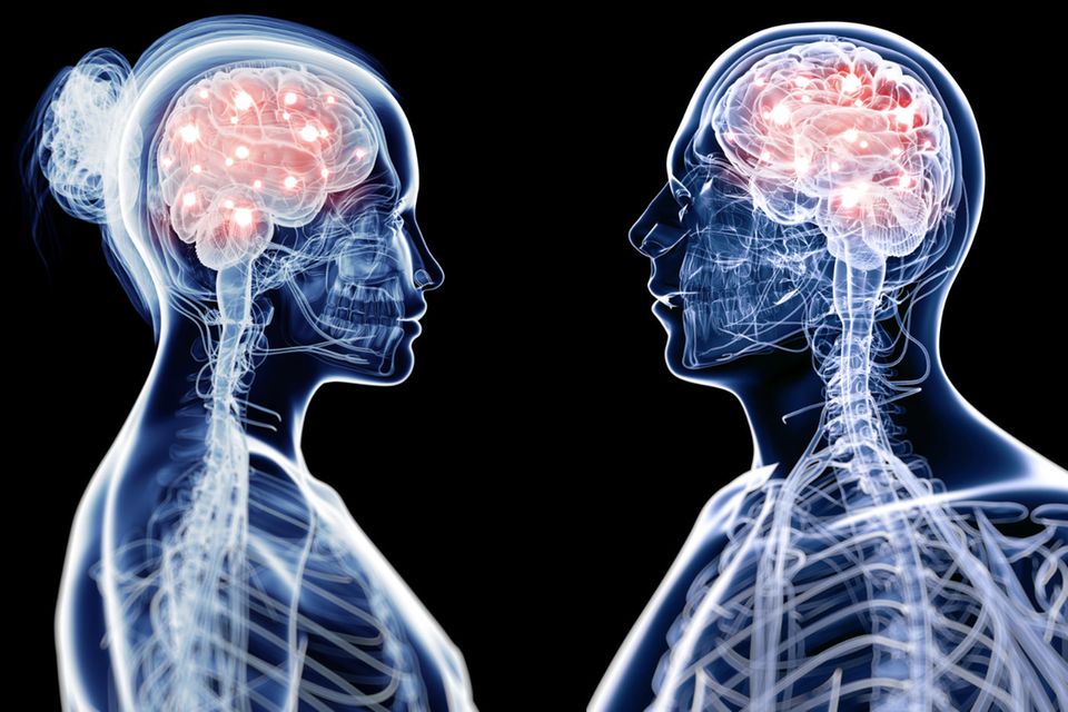 Blick ins Gehirn : Denken Frauen anders als Männer? Die verblüffenden Antworten der Wissenschaft 1.4973