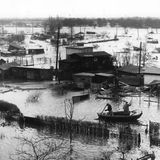 Hamburger Deiche werden an 60 Stellen zerstört