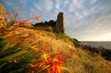 Dunure Castle, Dunure, Ayrshire,Scotland, UK. Dunure was the ancient seat of the Kennedy family, traditionally lords of Carrick and eventually Earls of Cassillis.