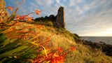 Dunure Castle, Dunure, Ayrshire,Scotland, UK. Dunure was the ancient seat of the Kennedy family, traditionally lords of Carrick and eventually Earls of Cassillis.