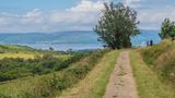 Views along the Greenock Cut in the Clyde Muirshiel Regional Park, looking out towards the Firth of the Clyde far below.