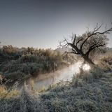 16.01.2022      "Nebelstimmung an der Abens."      Ort: Siegenburg  Kamera: Nikon D 810