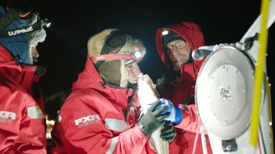 Das Forschungsteam mit einem Kabeljau an Bord der «Polarstern». Foto: UFA Show & Factual, Germany/dpa Das Forschungsteam mit einem Kabeljau an Bord der "Polarstern"