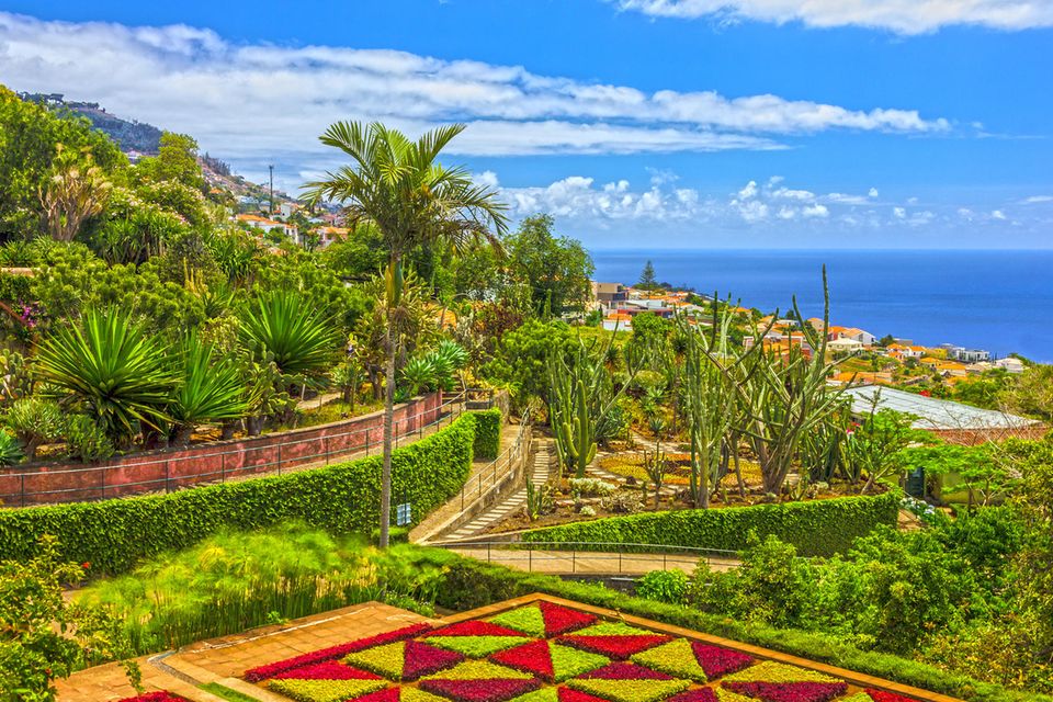 Botanischer Garten Funchal  1.5004