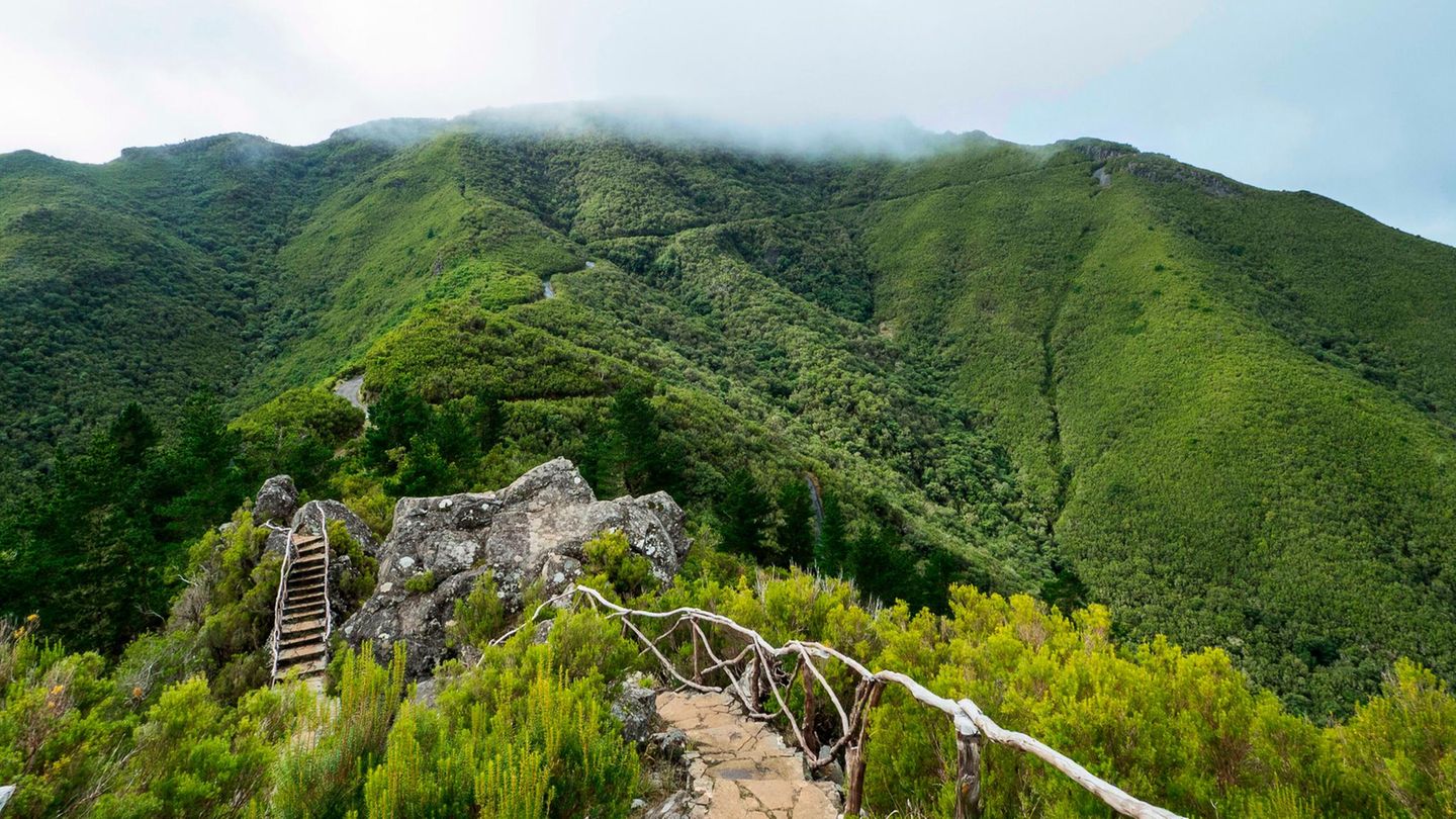 Parque Florestal das Queimadas