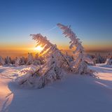 21.02.2022      "Winterlicher Sonnenaufgang auf dem Brocken im Nationalpark Harz."      Kamera: Canon Eos R