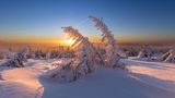 21.02.2022      "Winterlicher Sonnenaufgang auf dem Brocken im Nationalpark Harz."      Kamera: Canon Eos R