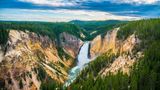 Lower Fall Yellowstone National Park
