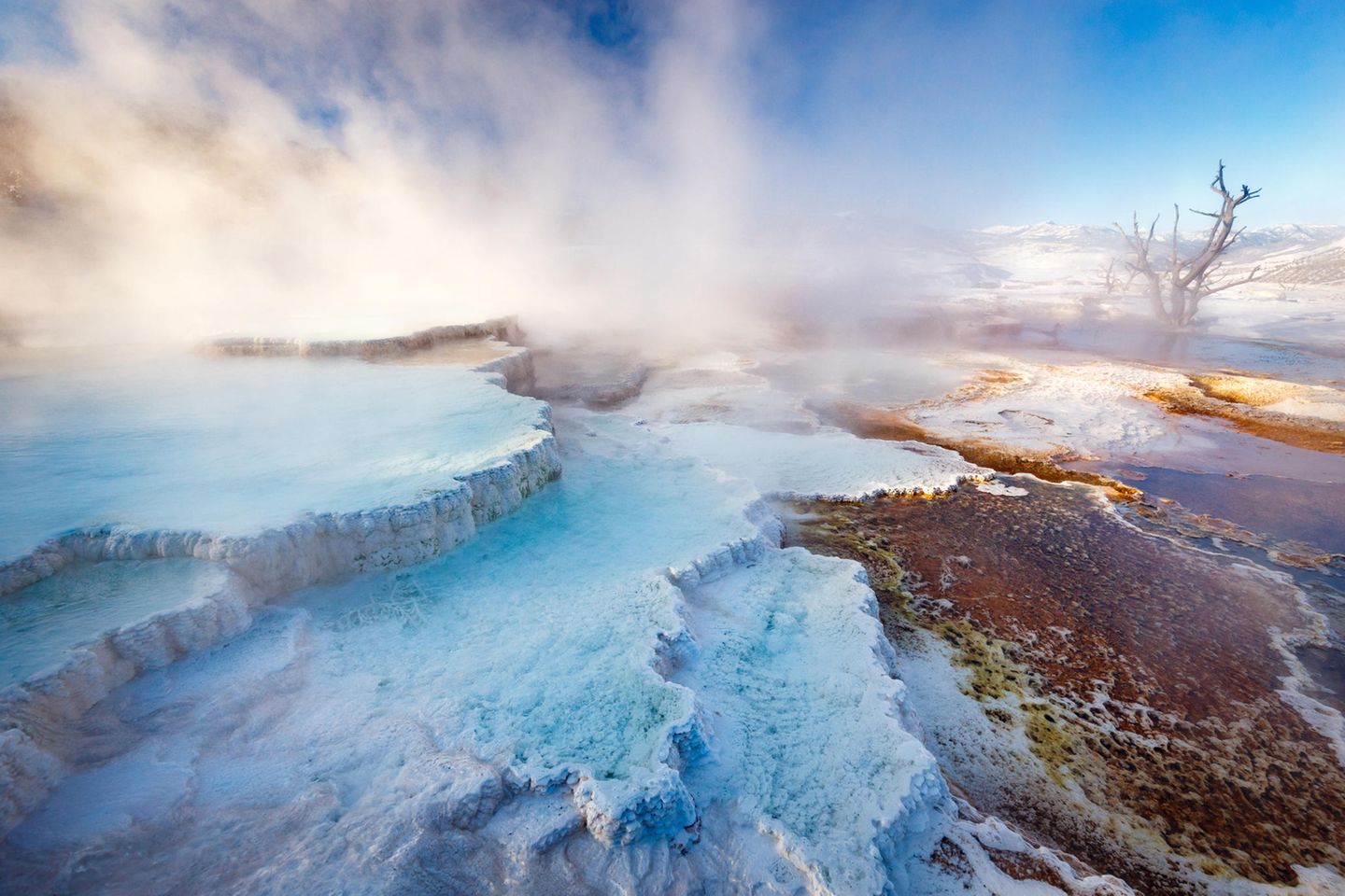 Mammoth Hot Springs