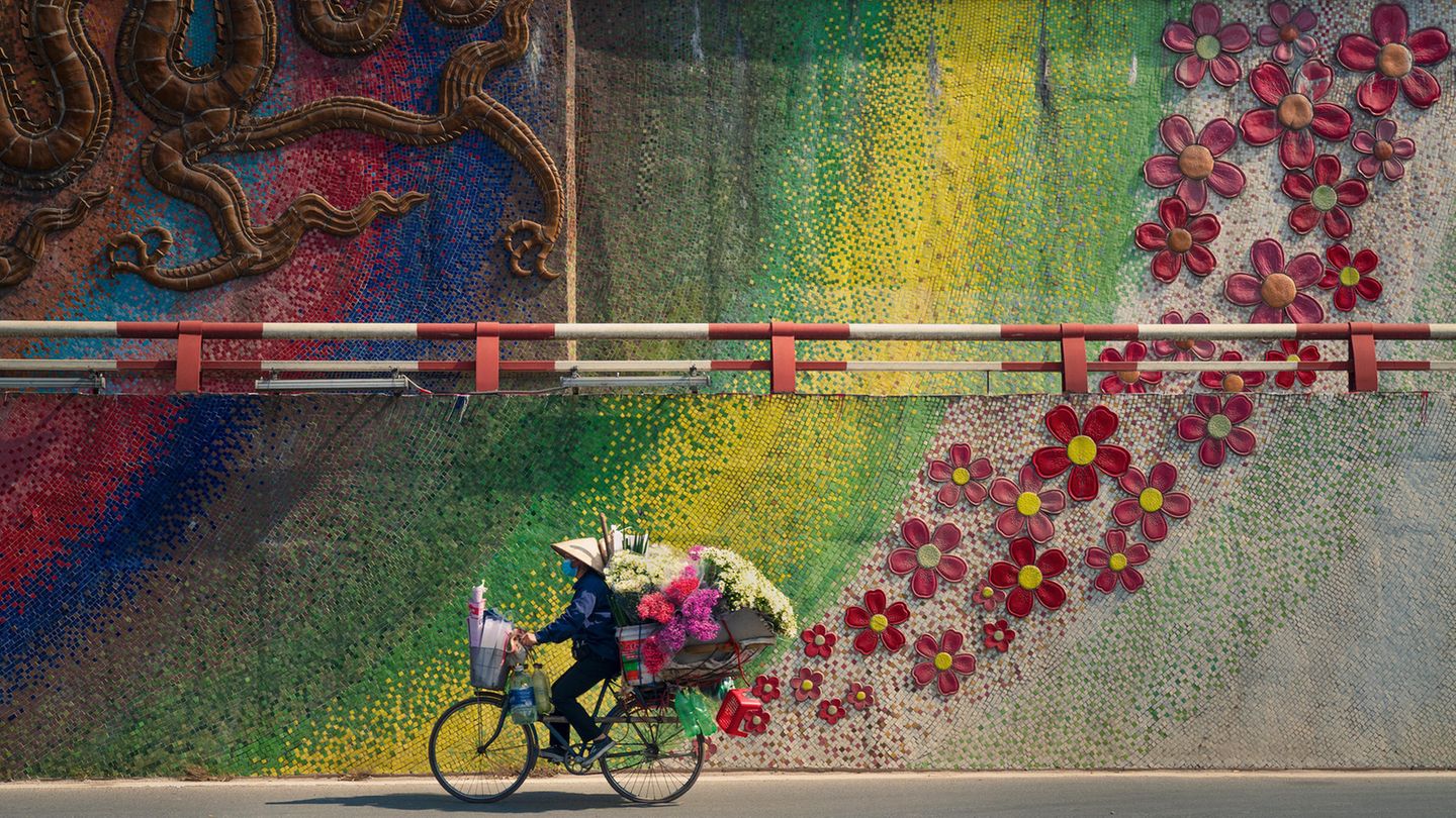 Image Name: Bike with Flowers  Photographer Name: Thanh Nguyen Phuc  Year: 2022  Image Description: <p>A hundred years ago there were just 36 streets and now there are many more, but the street culture remains strong in Hanoi. There are lots of shops in the main streets but people in the old streets prefer to get serviced by mobile street vendors. I spent a weekend following street vendors and found that they were walking or riding their bikes all day. Here is one of my favourite moments.</p>  Copyright: © Thanh Nguyen Phuc, Vietnam, Winner, National Awards, Travel, 2022 Sony World Photography Awards