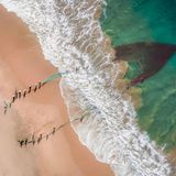 Image Name: Struggle of Life  Photographer Name: Amal Prasad  Year: 2022  Image Description: <p>The life of a village fisherman is not an easy one – it's a struggle for survival.</p>  <p>&nbsp;</p>  <p>In accordance with the National Awards competition rules, please note that as a resident of Qatar photographer Amal Prasad is the winner of the Qatar National Award 2022.</p>  Copyright: © Amal Prasad, Qatar, Winner, National Awards, Lifestyle, 2022 Sony World Photography Awards