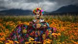 Image Name: The Scent of Cempasúchil  Photographer Name: Sergio Carrasco  Year: 2022  Image Description: <p>Mexican Catrina, an icon of the Day of the Dead, wearing a typical Mexican dress from the state of Chiapas. She is standing in a field of Mexican marigold, or Cempasúchil, a flower traditionally used for Mexican Day of the Dead celebrations. Every year, my wife puts on a different Catrina costume to celebrate our tradition.</p>  Copyright: © Sergio Carrasco, Mexico, Shortlist, National Awards, Portraiture, 2022 Sony World Photography Awards