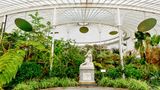 inside Kibble Palace, Glasgow Botanical Gardens, Scotland, UK