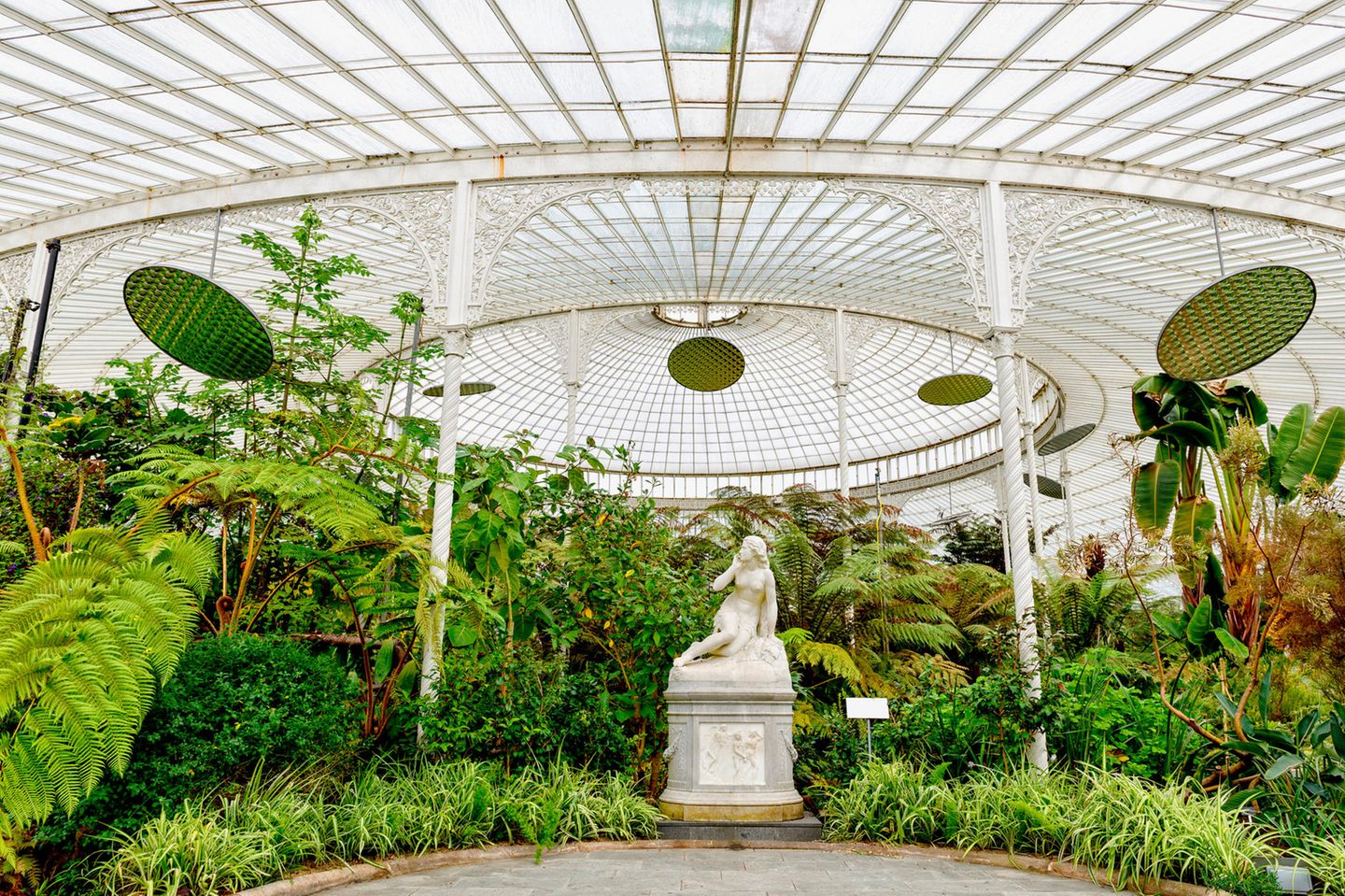 Botanical Gardens inside Kibble Palace, Glasgow Botanical Gardens, Scotland, UK