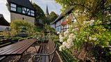 Rosendorf Assinghausen