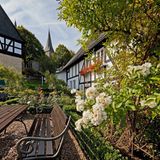 Rosendorf Assinghausen