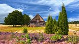 Undeloh in der Lüneburger Heide