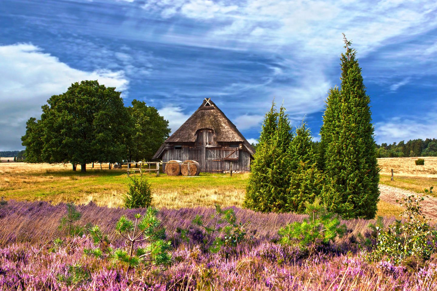 Undeloh in der Lüneburger Heide