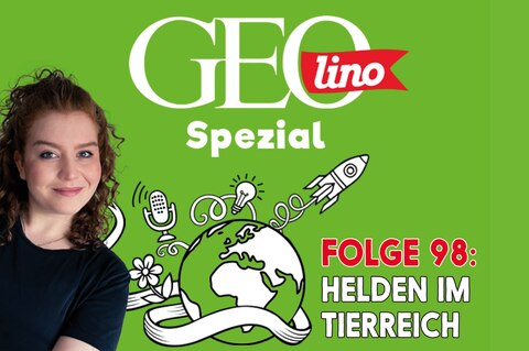 In Folge 98 unseres GEOlino-Podcasts geht es um Tierische Helden!