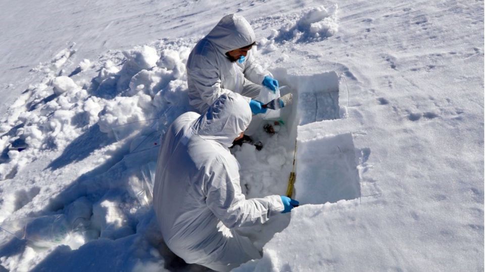 Forschenden nehmen Schneeproben