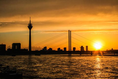 IPCC: Nach alarmierendem Klima-Bericht: Co-Autorin Diana Reckien erklärt, wie sich unser Leben verändern wird