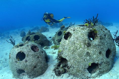 Vor der Karibik-Insel Curaçao ausgebrachte Reef Balls werden von Meeresorganismen in Besitz genommen