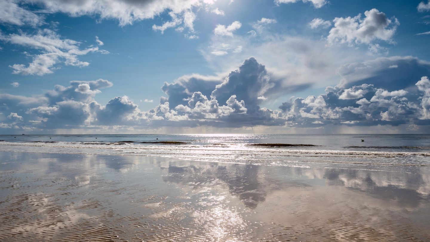 In den vergangenen Jahrzehnten sind weniger Giftstoffe in die Nordsee gelangt