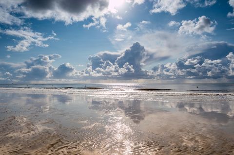 In den vergangenen Jahrzehnten sind weniger Giftstoffe in die Nordsee gelangt