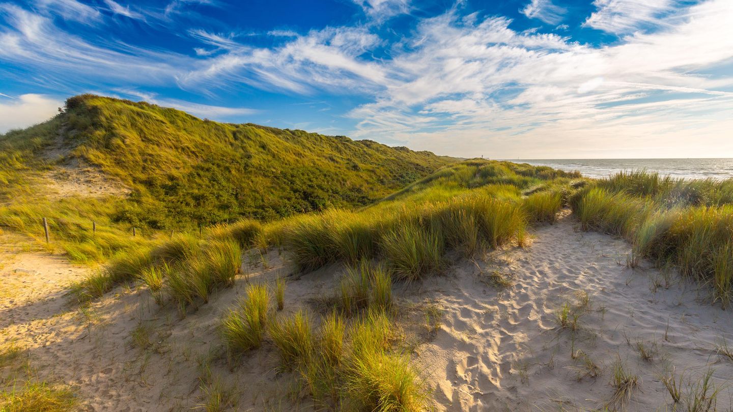 Dünenlandschaft von De Haan in Belgien