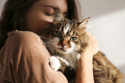 Tierhaarallergien: Wenn schmusen nicht mehr möglich ist: Was Tierhalter über Allergene wissen sollten