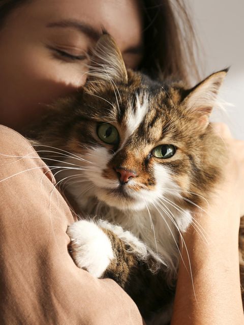 Tierhaarallergien: Wenn schmusen nicht mehr möglich ist: Was Tierhalter über Allergene wissen sollten