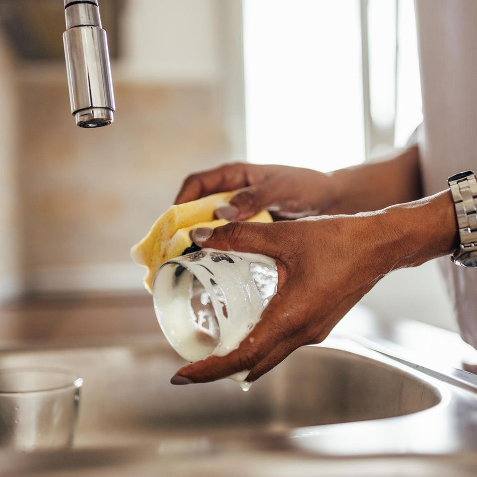 Küchenschwämme sind ideale Brutstätten für Bakterien