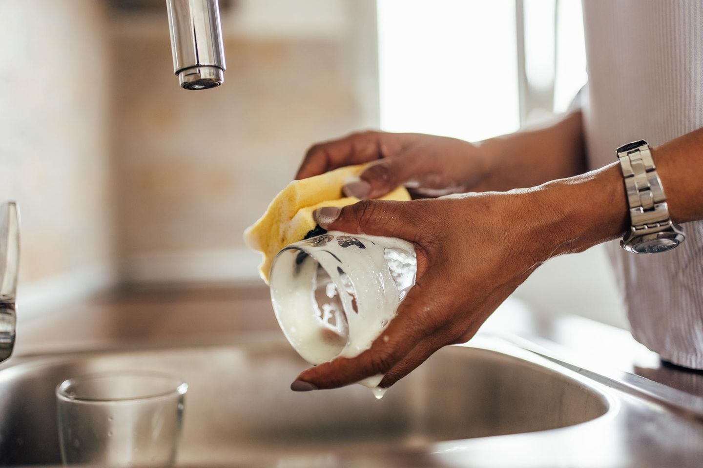 Küchenschwämme sind ideale Brutstätten für Bakterien