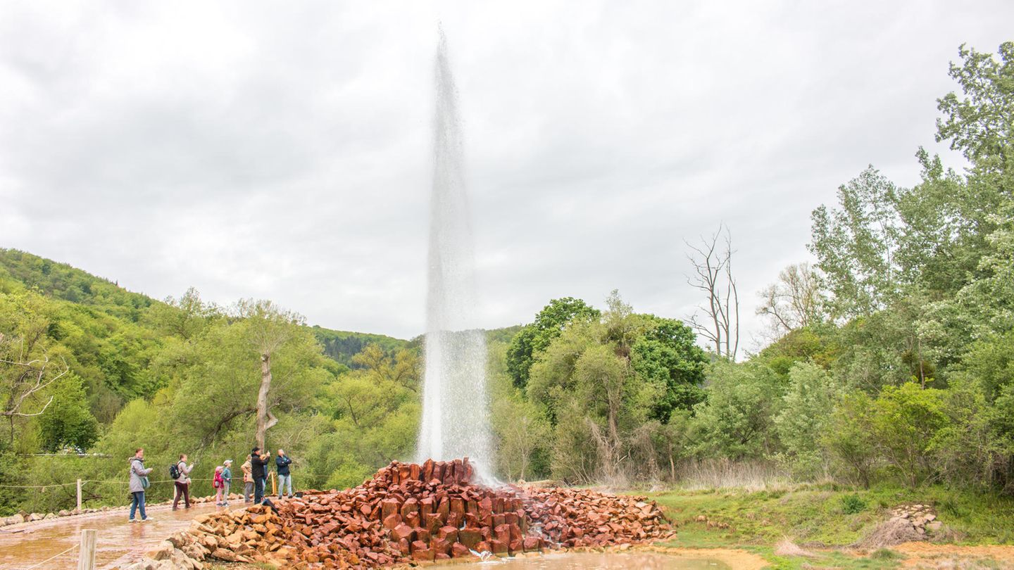 Andernach Geysir