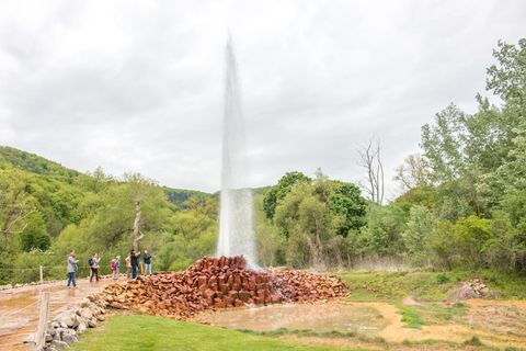 Andernach Geysir