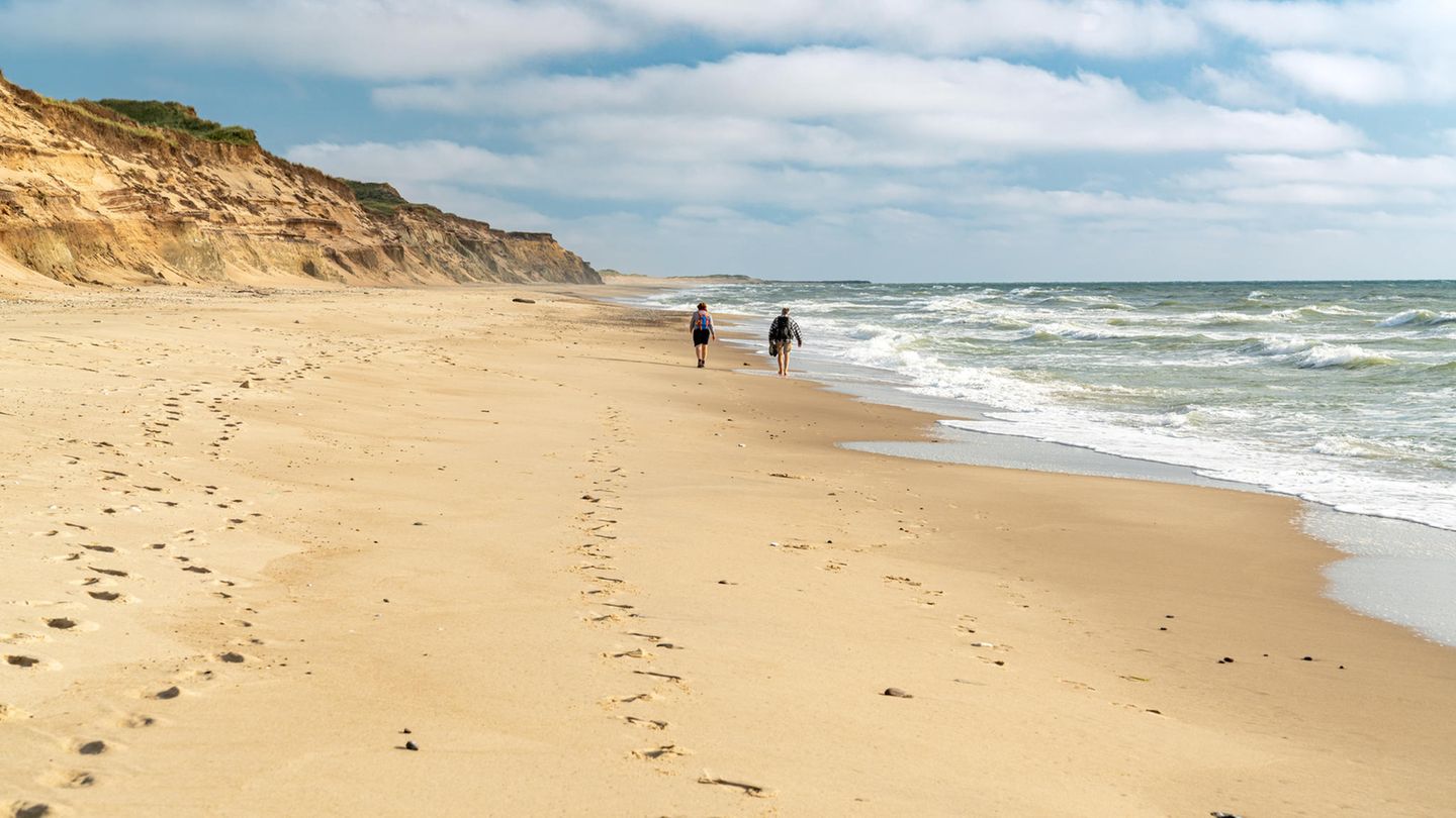 Sandstrände von Thy Ein Paar läuft den langen Strand im Nationalpark Thy entlang