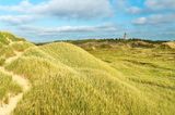 Dünenlandschaft im Nationalpark Thy mit Leuchtturm im Hintergrund