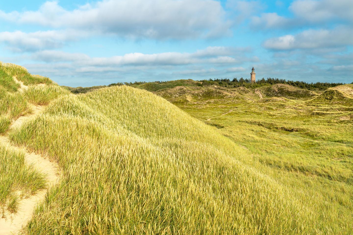 Dünenlandschaft im Nationalpark Thy mit Leuchtturm im Hintergrund